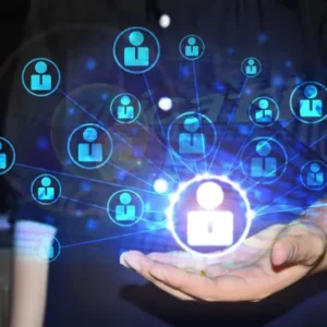 Full Site Optimization Package